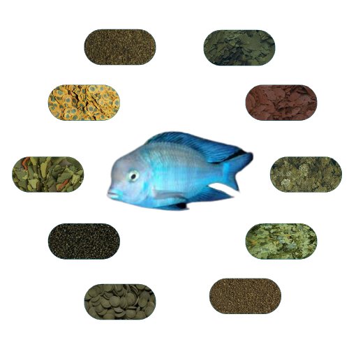 Yunus Ciklet Özel Balık Yem Paketi 100 Gr/Ad (6 Çeşit)