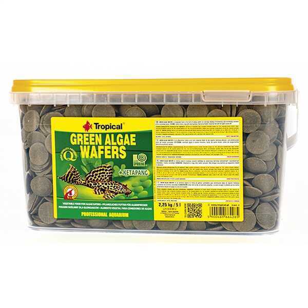 TROPİCAL GREEN ALGAE WAFERS 5LT/2,5KG KOVA BALIK YEMİ