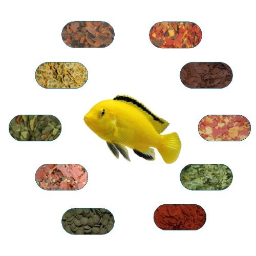 Sarı Prenses Özel Balık Yem Paketi 50 Gr/Ad (7 Çeşit)