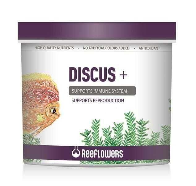 Reeflowers Discus + 150ml./81gr. Kutu Balık Yemi