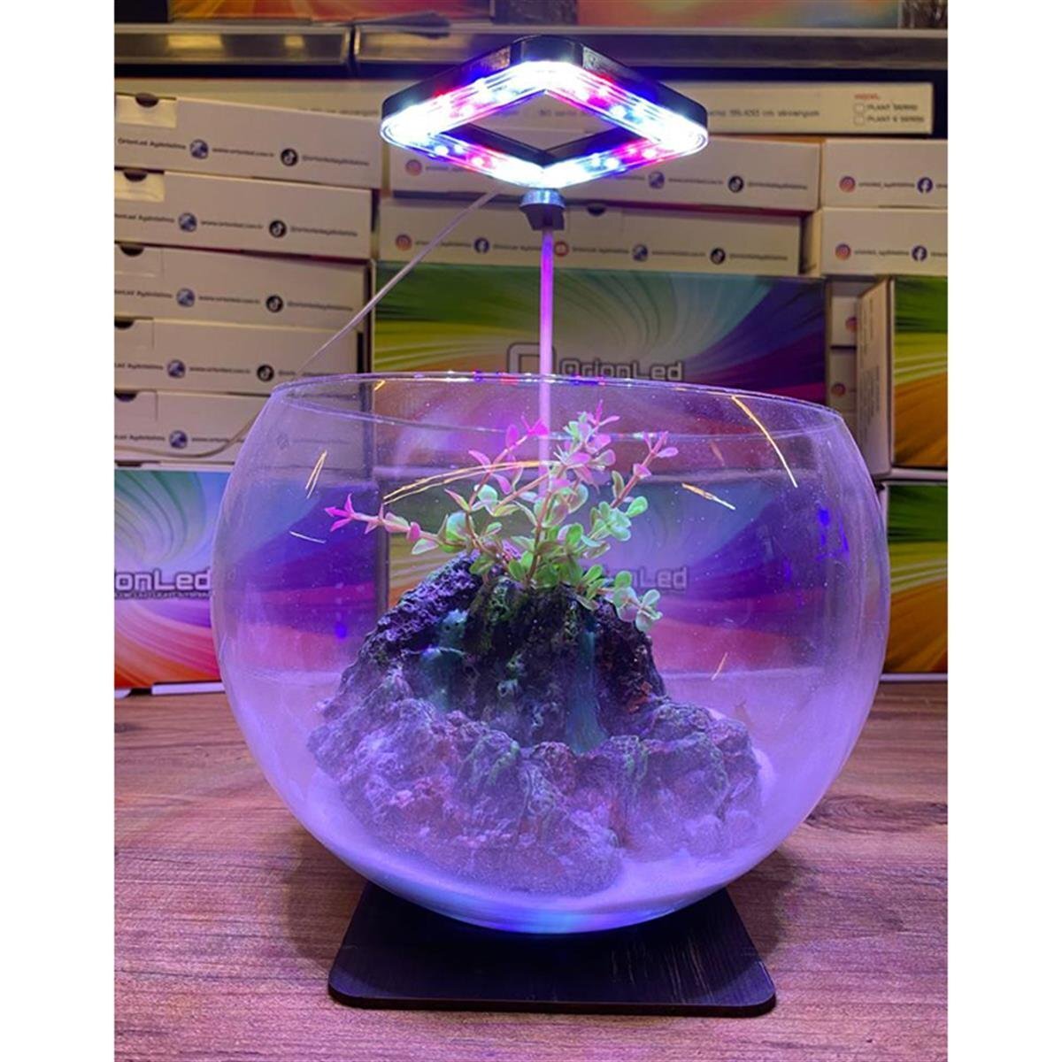 Orionled Nano Serisi Karışık 3 Renk 5 w Kare Beyaz