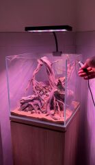 Orionled Nano Serisi Lensli-Kumandalı Siyah Kasa32 w
