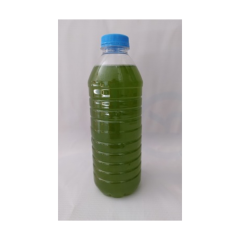 YEŞİLSU + PİRE YEMİ