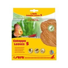 Sera Catappa Yaprağı Small
