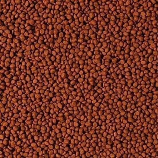 TROPİCAL CİCHLİD CARNİVORE MEDİUM PELLET BALIK YEMİ 100 GR (AÇIK)