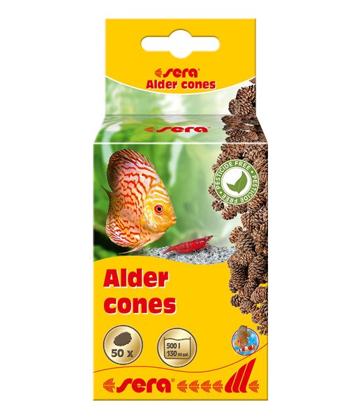 SERA ALDER CONES (50 ADET) KIZILAĞAÇ KOZALAĞI