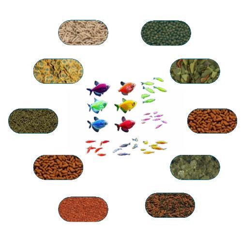 Tetra - Tetrazon Yem Pakti 50 gr (5 Çeşit)