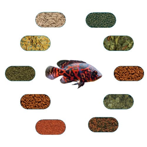 Astronot (Oscar) Medıum Yem Paketi (100) Gr/Ad (9 Çeşit)