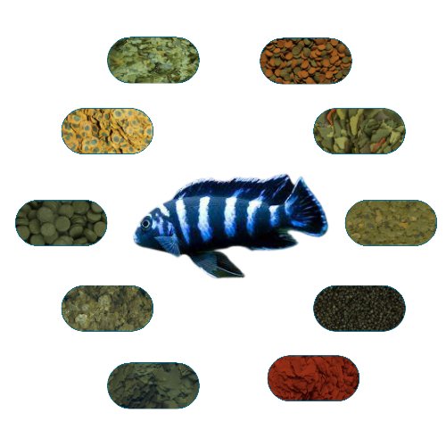 Demasoni Özel Balık Yem Paketi 100 Gr/Ad (5 Çeşit)