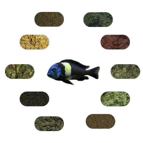 Tropheus Duboisi Maswa Özel Yem Paketi 50 Gr/Ad (6 Çeşit)