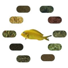 Tropheus Kriza Gold Özel Yem Paketi 50 Gr/Ad (5 Çeşit)