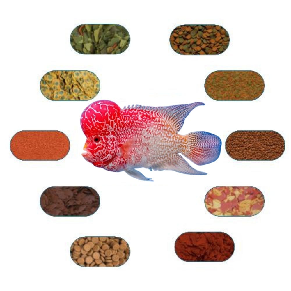 Flower Horn Yem Paketi 100 Gr 7 Çeşit