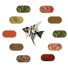 Melek Balığı Özel Yem Paketi 50 Gr/Ad (6 Çeşit)