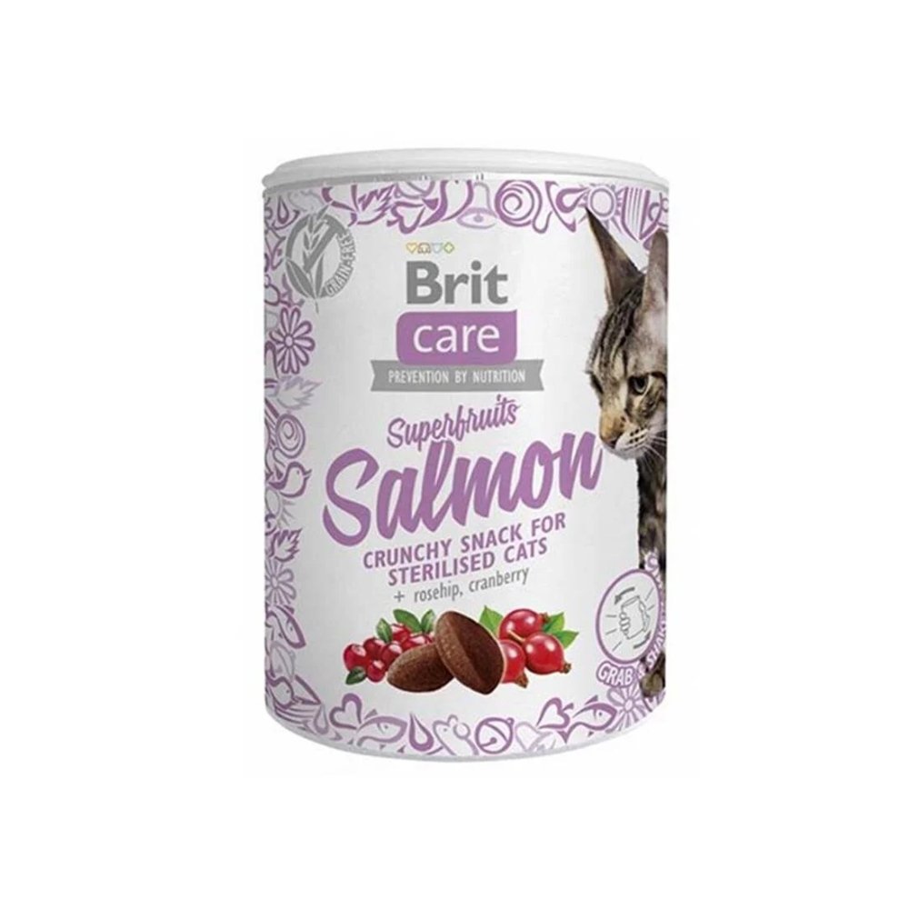 BRİT CARE CAT SNACK SUPERFRUITS SOMON 100 GR