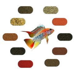 Apistogramma Yem Paketi (Cüce Amerikan Ciklet) 100 Gr*Ad (5 Çeşit)