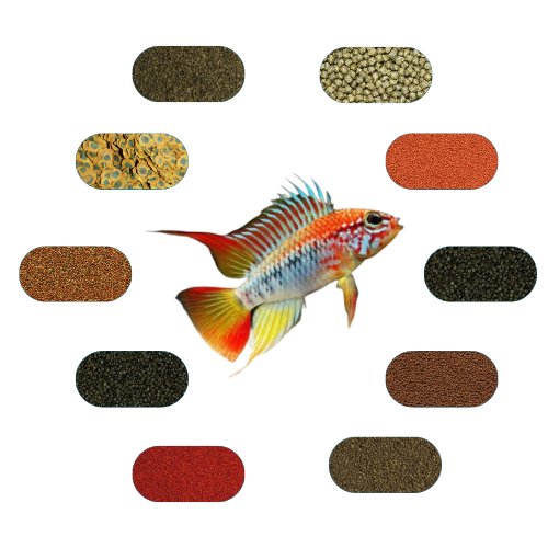 Apistogramma Yem Paketi (Cüce Amerikan Ciklet) 50 Gr*Ad (5 Çeşit)