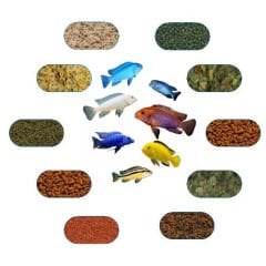 Malawi Yem Paketi 100 gr (6 Çeşit)