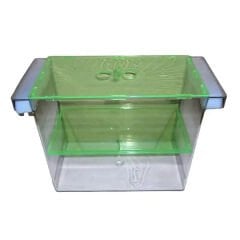 201610 Sealife İkili Dev Cichlid Yavruluğu