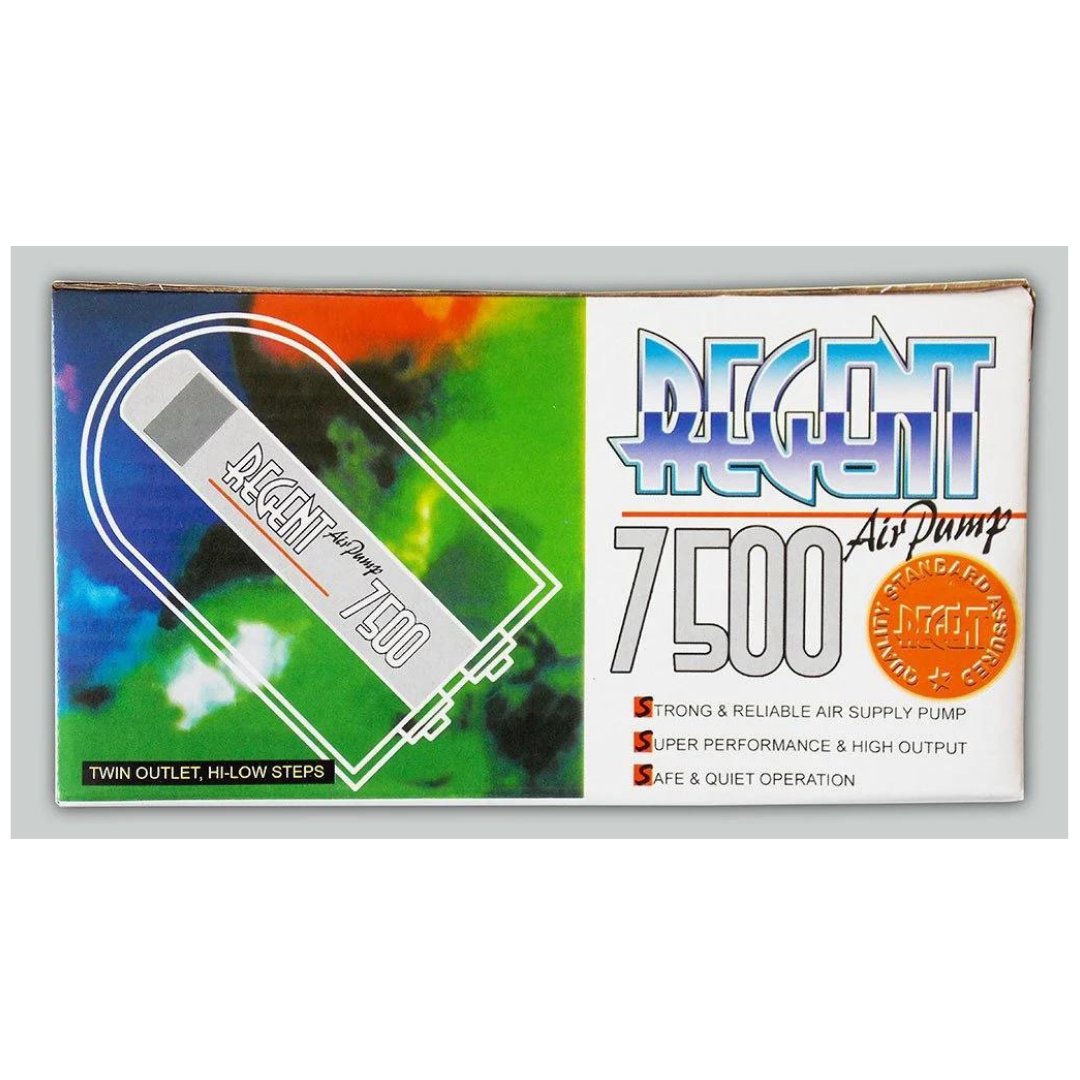 Regent 7500 Hava Motoru Çift Çıkış