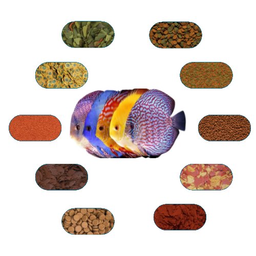 Discus Özel Yem Paketi 100 Gr/Ad (8 Çeşit)