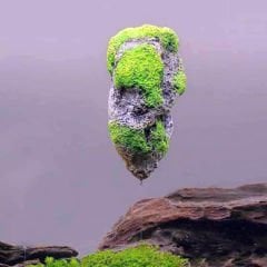 DOPHİN YÜZEN KAYA AKVARYUM DEKORU LARGE