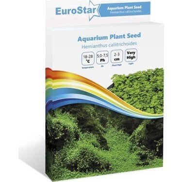 EUROSTAR BİTKİ TOHUMU HEMİANTHUS CALLİTRİCHOİDES