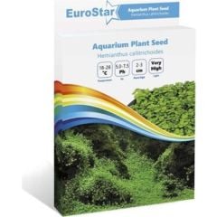 EUROSTAR BİTKİ TOHUMU HEMİANTHUS CALLİTRİCHOİDES