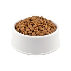 Pro Performance Cat Sterilesed Chıcken 1 Kg (Açık)