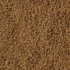 Sera Discus Color Nature 250Gr  Balık Yemi (Açık)