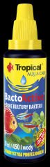 Tropical Bacto Active 100 Ml Bakteri Kültürü