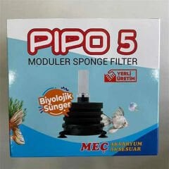 PİPO 5 SÜNGER