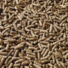 SERA POND GRANULAT  100 GR BALIK YEMİ (AÇIK)
