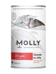 Molly Konserve Kuzu 400 Gr Kedi Yaş Maması