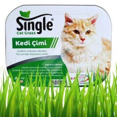 SİNGLE NATURAL KEDİ ÇİMİ
