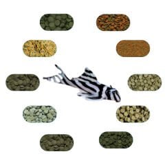Pleco Yem Paketi 50 Gr/Ad (6 Çeşit)