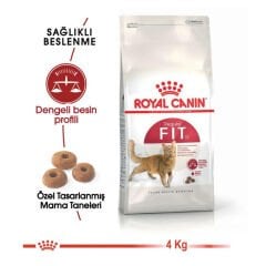 ROYAL CANİN FİT 32 KEDİ MAMASI 4 KG.