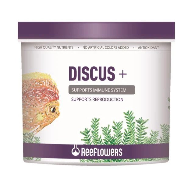 Reeflowers Discus + 150Ml./81Gr. Kutu Balık Yemi