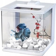 MARİNA BETTA EZ CARE 2,5 L BETA AKVARYUMU