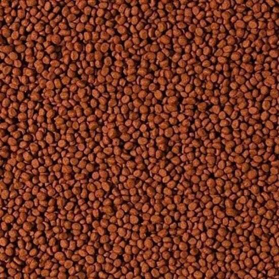 Tropical Cichlid Carnivore Medium Pellet Balık Yemi 50 Gr (Açık)