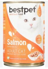 Bestpet Somonlu Kedi Konservesi 400 Gr