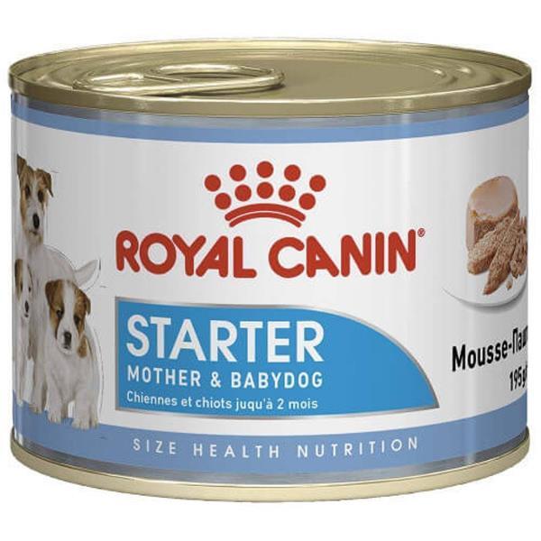 Royal Canin Starter Anne Ve Yavru Köpek Konservesi 195Gr
