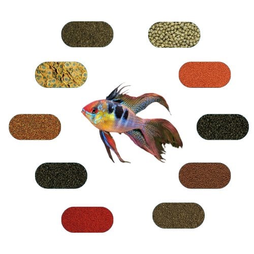 Ramirezi Yem Paketi 100 Gr/Ad (6 Çeşit)