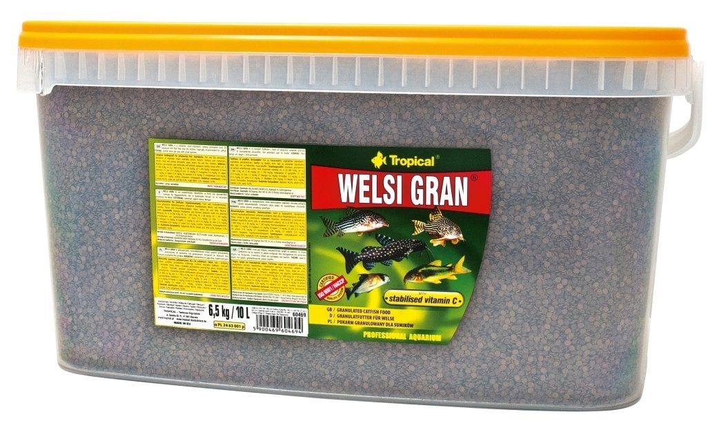 Tropical Welsi Gran 10Lt/6,5Kg Kva Balık Yemi