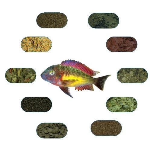 Tropheus Red Rainbow Özel Balık Yem Paketi 50 Gr/Ad (6 Çeşit)