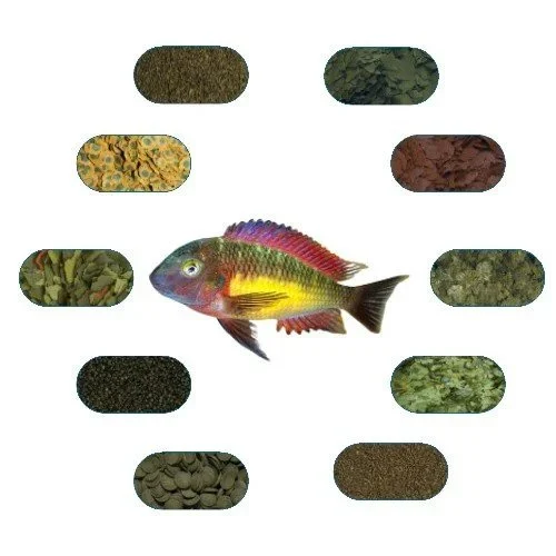 Tropheus Red Rainbow Özel Balık Yem Paketi 100 Gr/Ad (6 Çeşit)