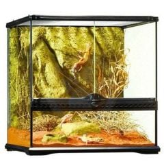 EXO TERRA TERARYUM 45*45*60 CM SÜRÜNGEN YUVASI
