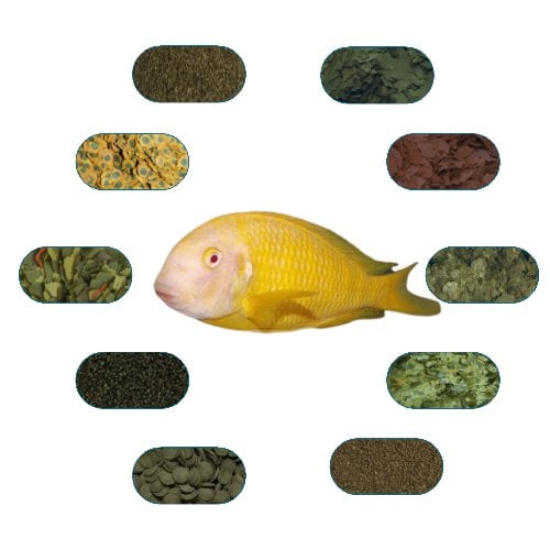 Tropheus Albino Kipili Özel Balık Yem Paketi 100 Gr/Ad (6 Çeşit)