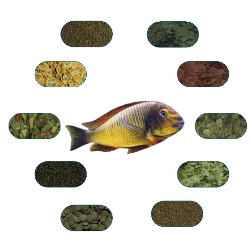 Tropheus İlangi Yellow Özel Balık Yem Paketi 50 Gr/Ad (7 Çeşit)