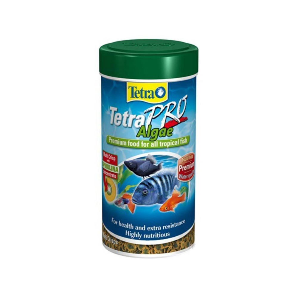 TETRA PRO ALGAE 100 ML KUTU BALIK YEMİ