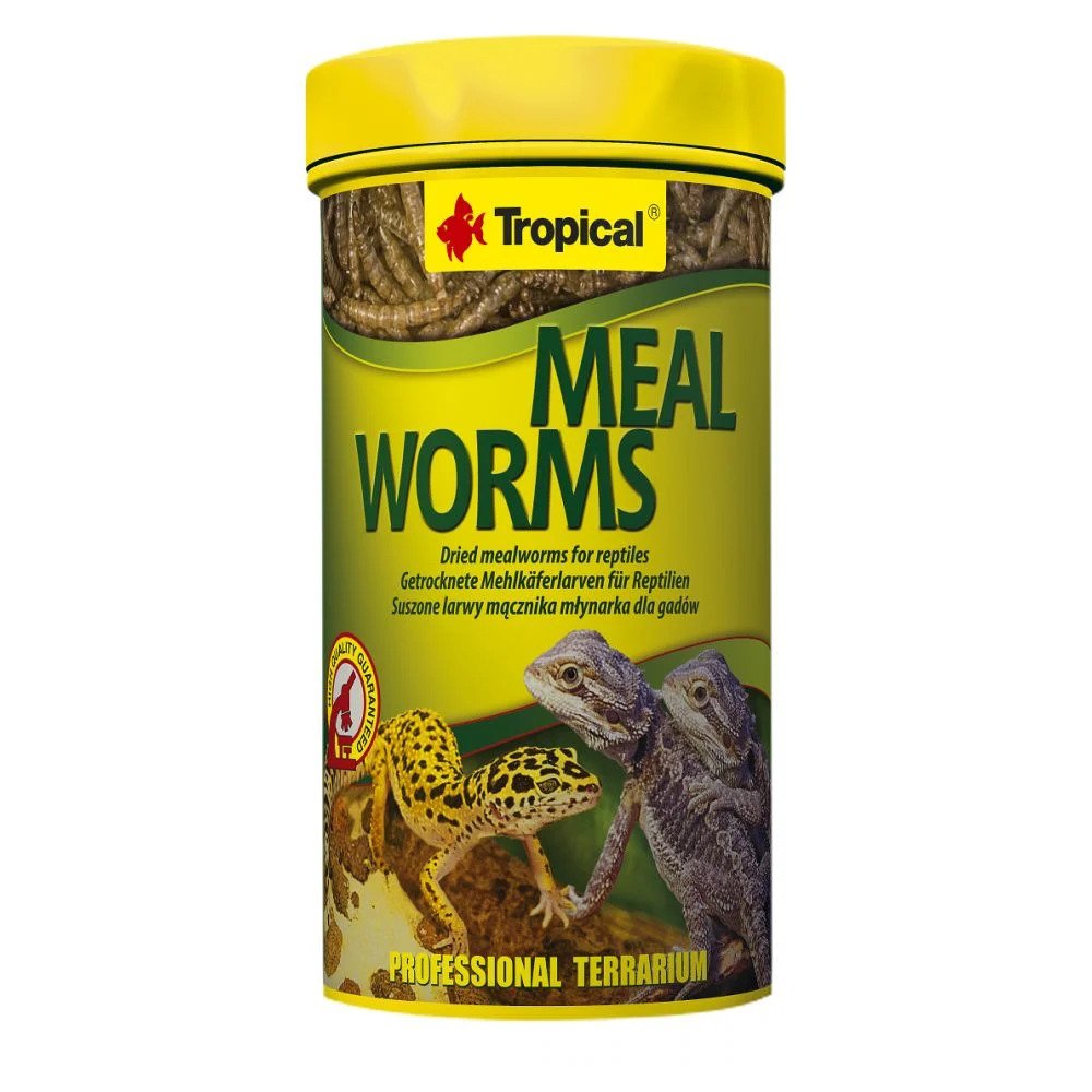 Tropical Meal Worms 250ml./30 gr. (Un Kurdu)